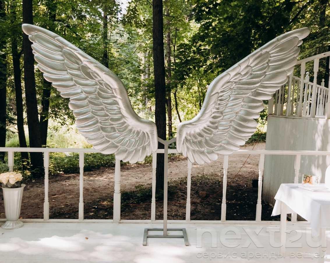 Крылья содержание. Крылья содержание. Светящиеся крылья. Убийство крылья ангела. Книга хорошие родители дают детям корни и крылья читать.