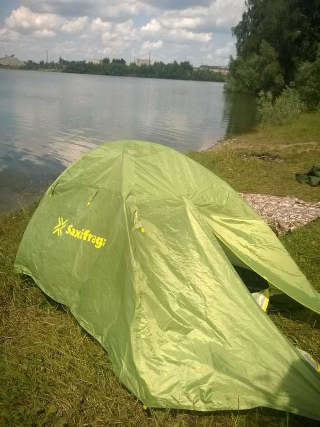 Саксифрага Палатка