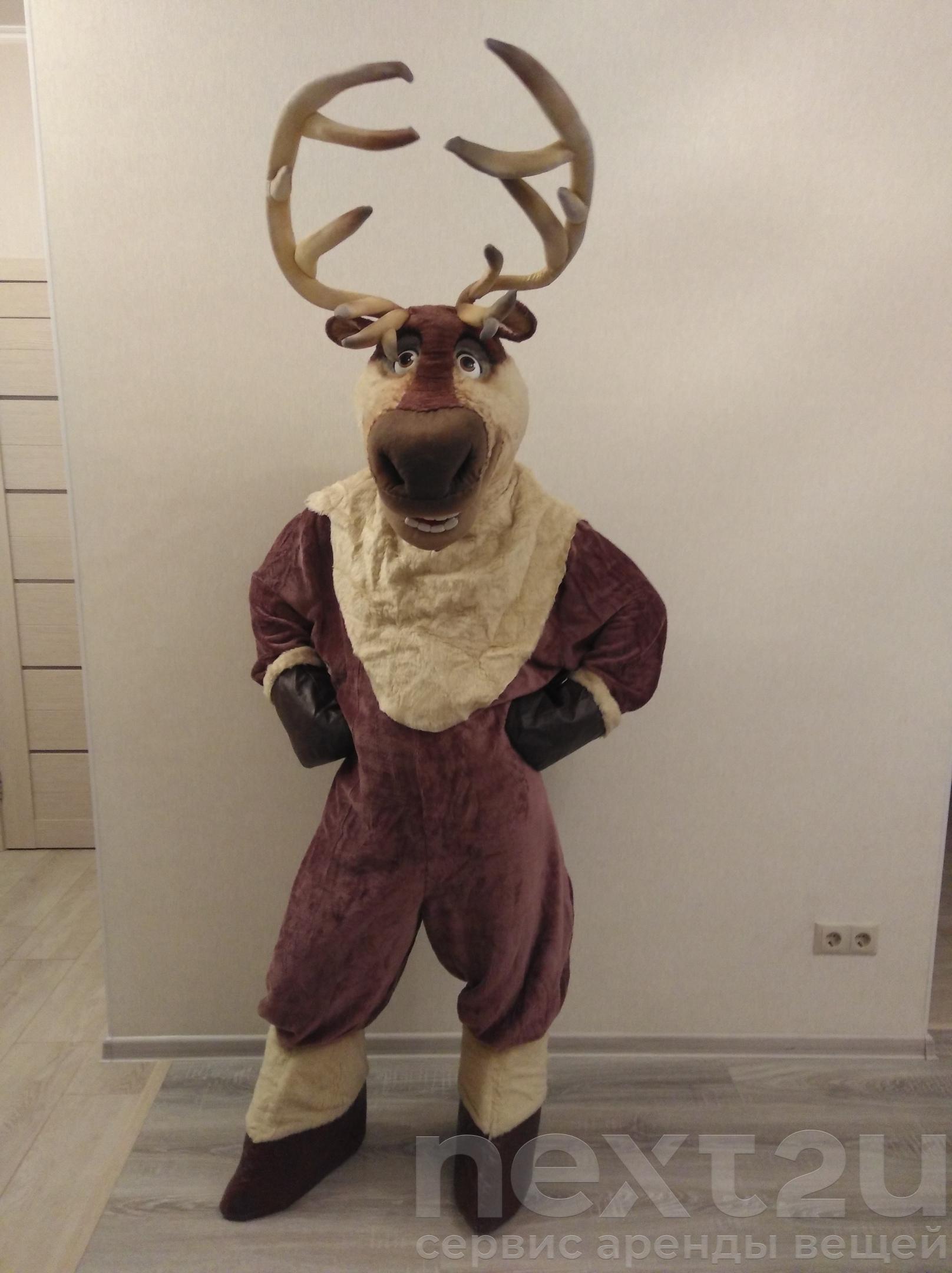 Ростовая кукла олень. Ростовая кукла олень. Фурсьют оленя. Ростовая кукла северного оленя. Ростовая кукла олень рисунок.