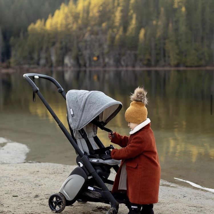 bugaboo ant 2700